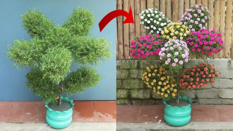 Questo semplice gesto trasforma le bottiglie di plastica in fioriere stupende…