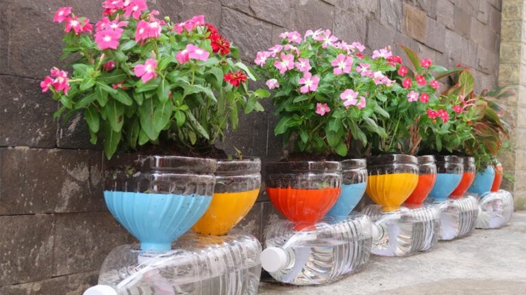 Questo metodo geniale trasforma bottiglie di plastica in vasi fioriti… scopri come!