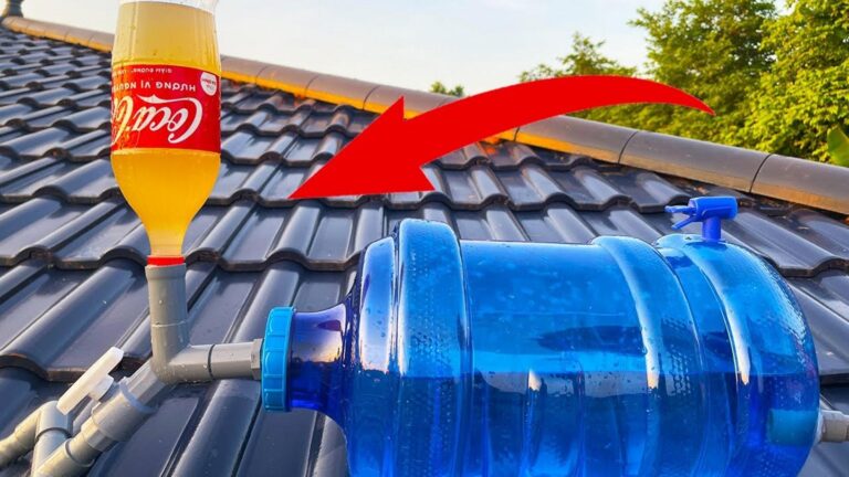 Questo semplice gesto trasforma bottiglie vuote in soluzioni geniali per la tua casa…