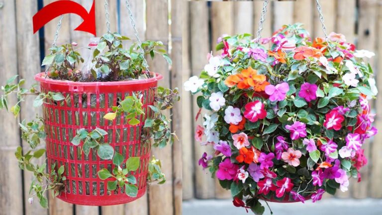 Questo semplice gesto trasforma i rifiuti in un giardino con irrigazione automatica…