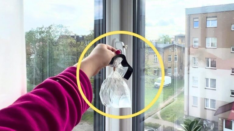 Scopri come un semplice oggetto in casa può liberarti dalle mosche per sempre…