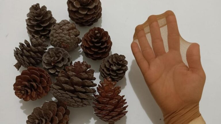 Un trucco semplice per trasformare pigne e calze in decorazioni sorprendenti…
