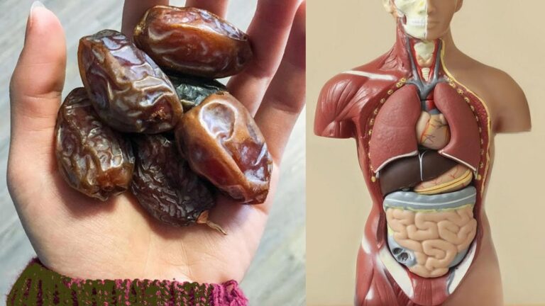 Alcuni esperti concordano che mangiare 2 datteri al giorno trasforma davvero la tua salute…