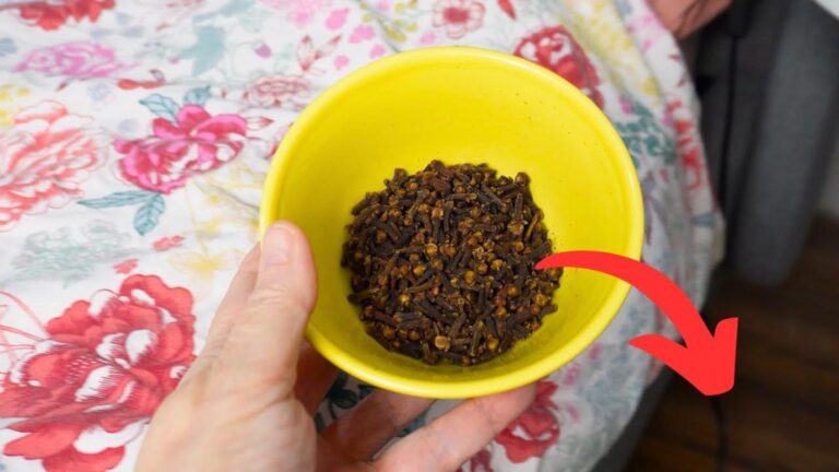 Questo semplice gesto con i chiodi di garofano cambierà la tua vita…