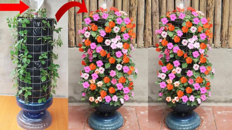Alcuni giardinieri usano questo trucco per trasformare il tuo giardino in un paradiso floreale…