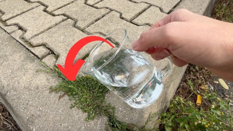 7 trucchi per far sparire le erbacce con una sola goccia! Scopri come!