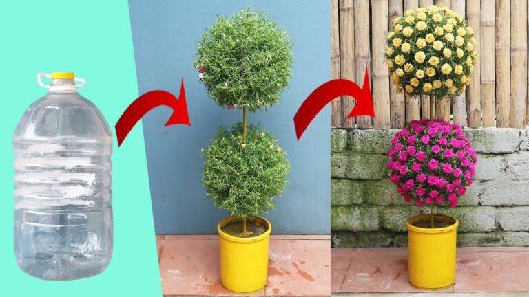 7 Idee per Un Giardino Verticale Creativo con Bottiglie di Plastica