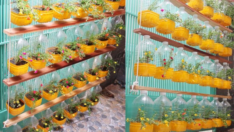 5 idee per riciclare bottiglie di plastica in vasi sospesi per il tuo giardino