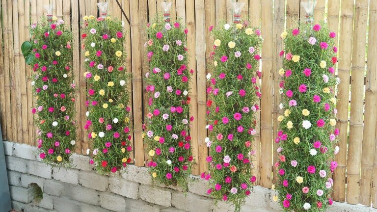 5 idee per realizzare un giardino verticale di Portulaca in piccoli spazi