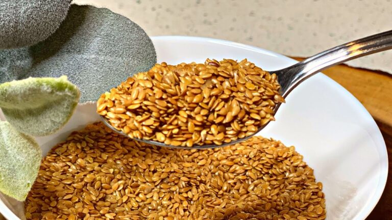 Scopri 1 cucchiaio al giorno per un fegato purificato e in salute!