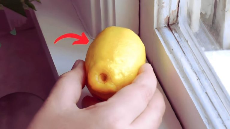 Metti 4 limoni sul davanzale e scopri il segreto che tutti conoscono