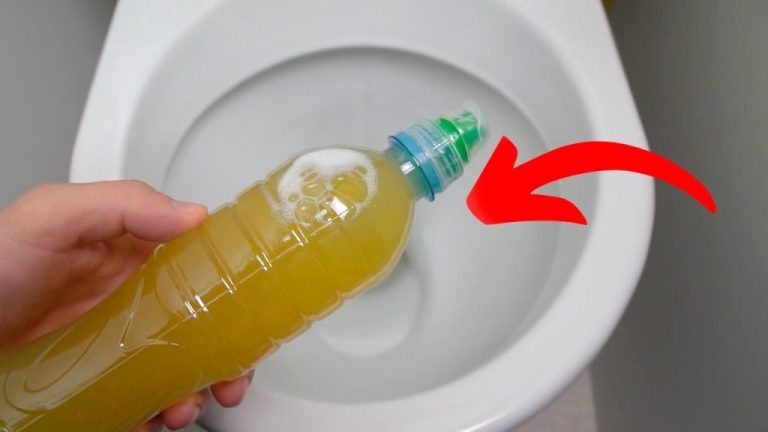 Il segreto degli idraulici: ecco cosa accade dopo aver installato un wc