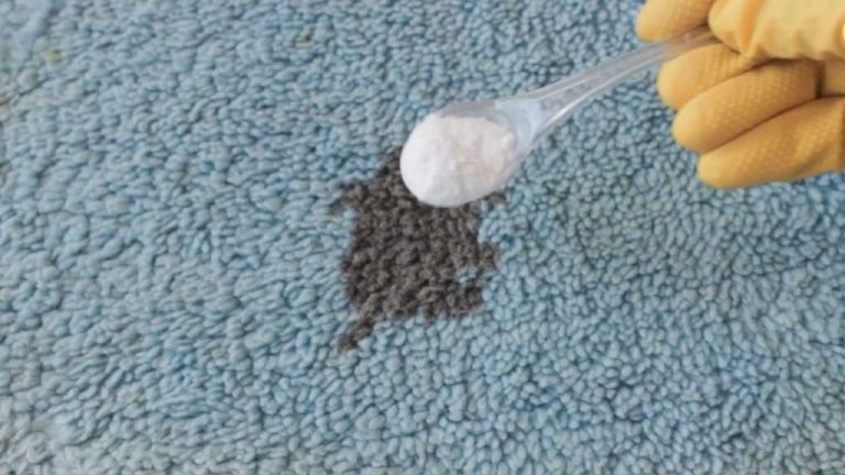 Elimina ogni macchia dal tappeto e risparmia con questo metodo