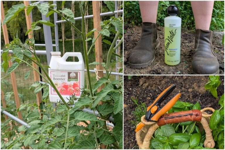 I prodotti più utilizzati nel mio giardino nel 2025
