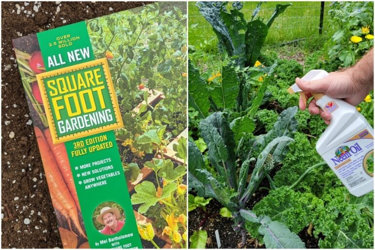 5 tendenze di giardinaggio da cui mi sono allontanato