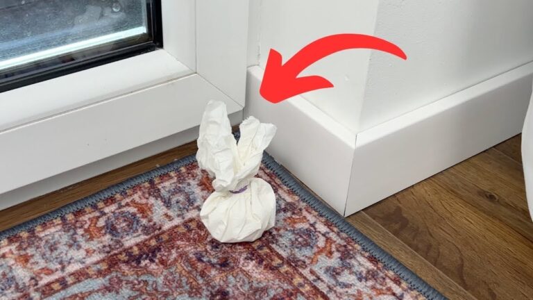 5 angoli magici per trasformare la tua casa e stupire gli ospiti