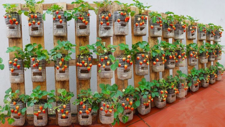 5 idee geniali per trasformare pallet in un giardino di fragole produttivo