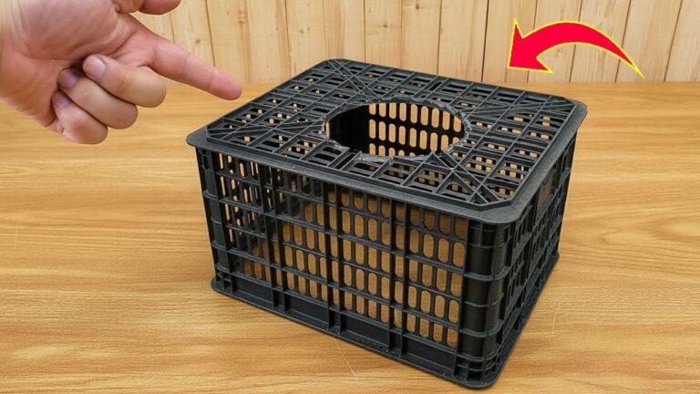 5 modi sorprendenti per riutilizzare i contenitori di plastica in casa!
