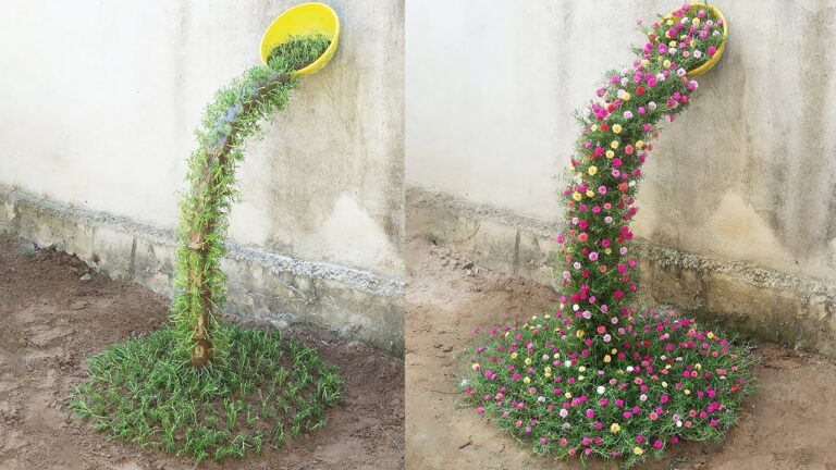 5 Idee per un Giardino Cascatella con Portulaca da Non Perdere!