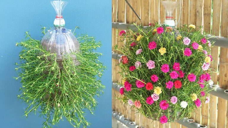5 idee per riciclare bottiglie di plastica e creare un giardino a irrigazione automatica