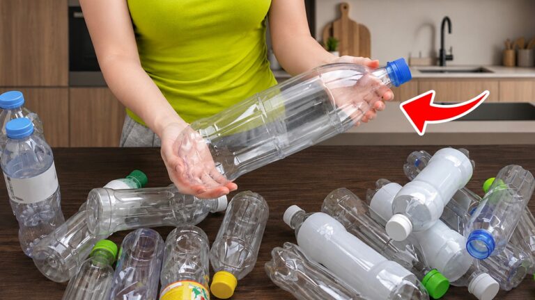 10 Idee Geniali per Riciclare Bottiglie di Plastica che Non Conoscevi!