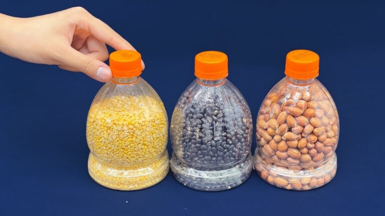 6 idee geniali per riciclare le bottiglie di plastica nel 2024!
