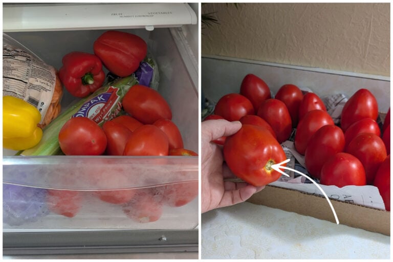 Smetti di rovinare i tuoi pomodori in frigo: ecco cosa fare invece