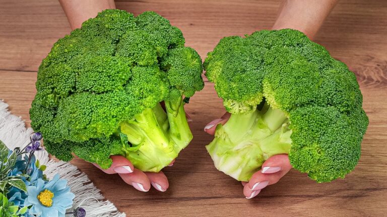 5 ricette vegetali con broccoli che ti stupiranno davvero!