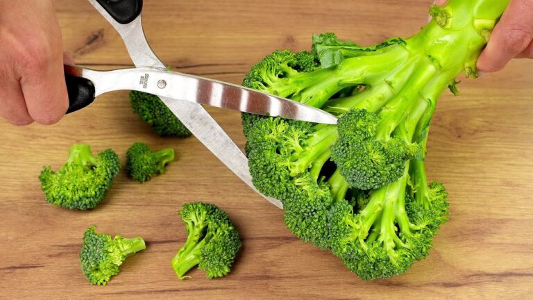 Scopri 5 ricette irresistibili per amare il broccolo ogni giorno!